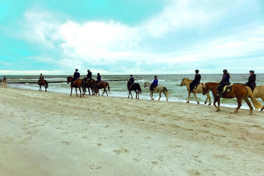 Ostsee-Ferienwohnung Uhlnuest Graal-Mueritz Gelbensande Exterior foto
