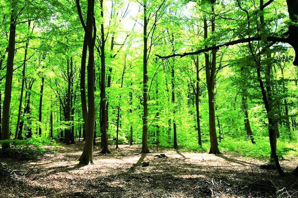 Ostsee-Ferienwohnung Uhlnuest Graal-Mueritz Gelbensande Exterior foto