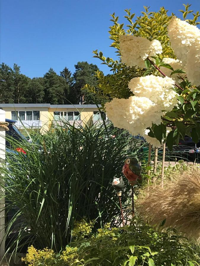 Ostsee-Ferienwohnung Uhlnuest Graal-Mueritz Gelbensande Exterior foto